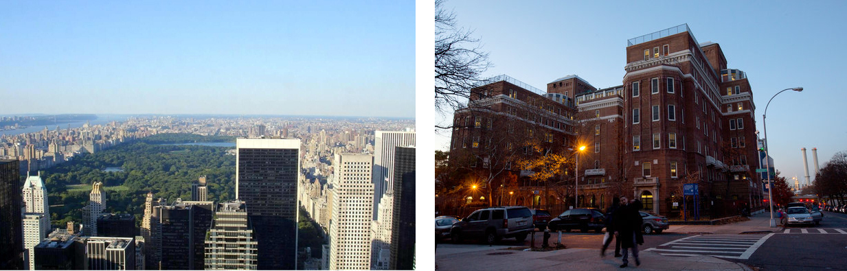 Left to Right: Central Park South Skyline and The Auburn Family Residence Ruth Fremson/The New York Times